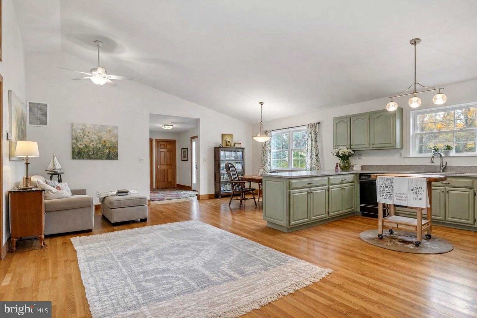 65 Chestnut Rail Lane Madison, VA 22727 - Photo 9 of 50 a living room with furniture and kitchen view