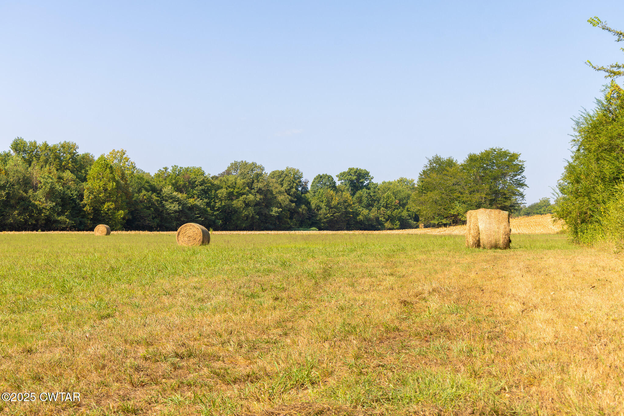 380 State Line Road South Fulton, TN 38257 - Photo 11 of 20 FT8A0552