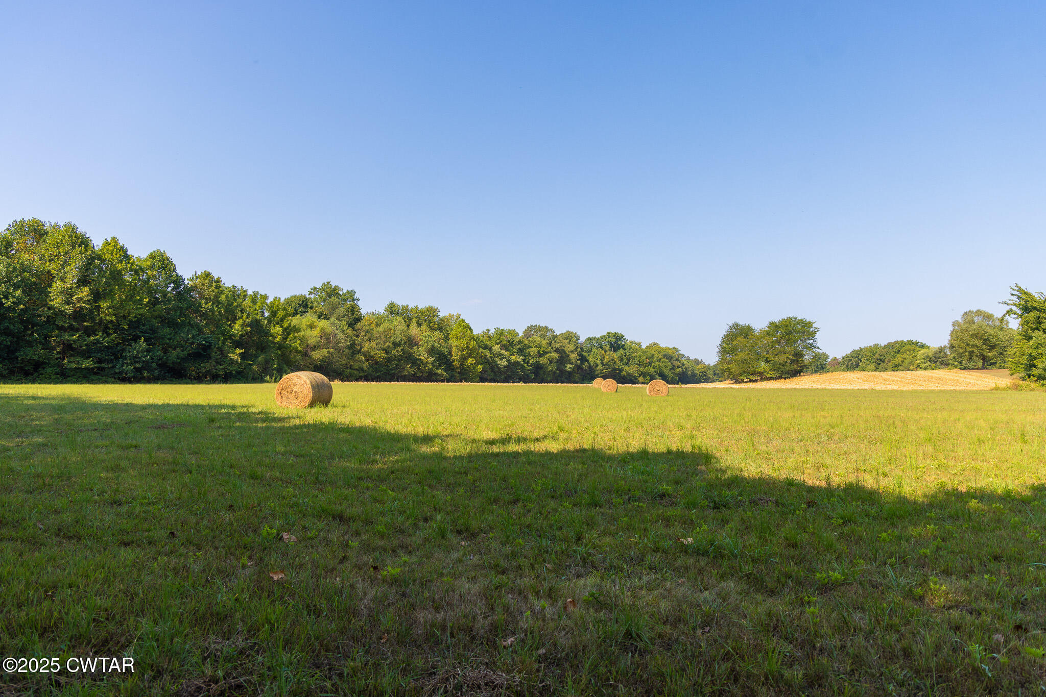 380 State Line Road South Fulton, TN 38257 - Photo 12 of 20 FT8A0554