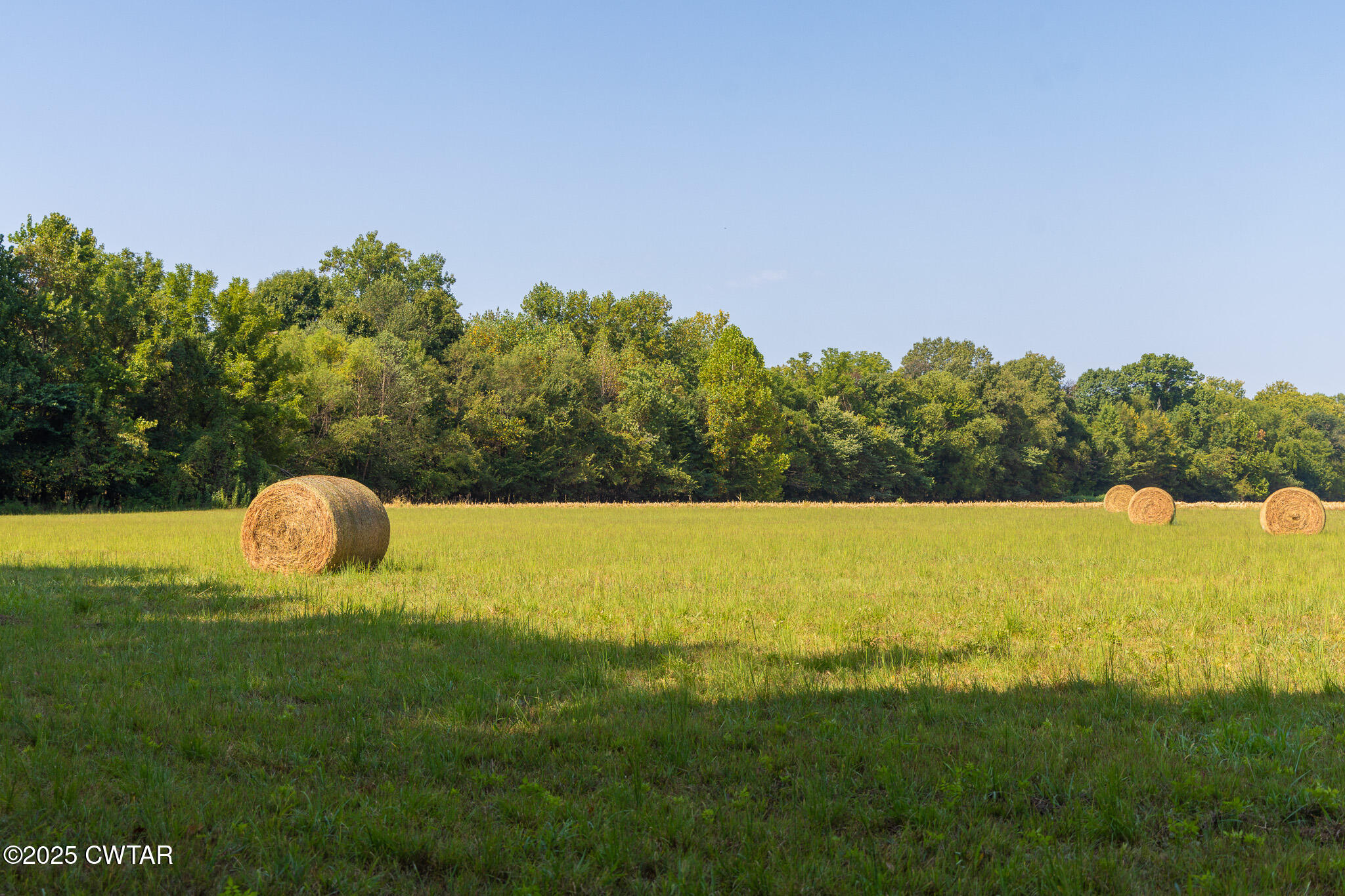 380 State Line Road South Fulton, TN 38257 - Photo 13 of 20 FT8A0555