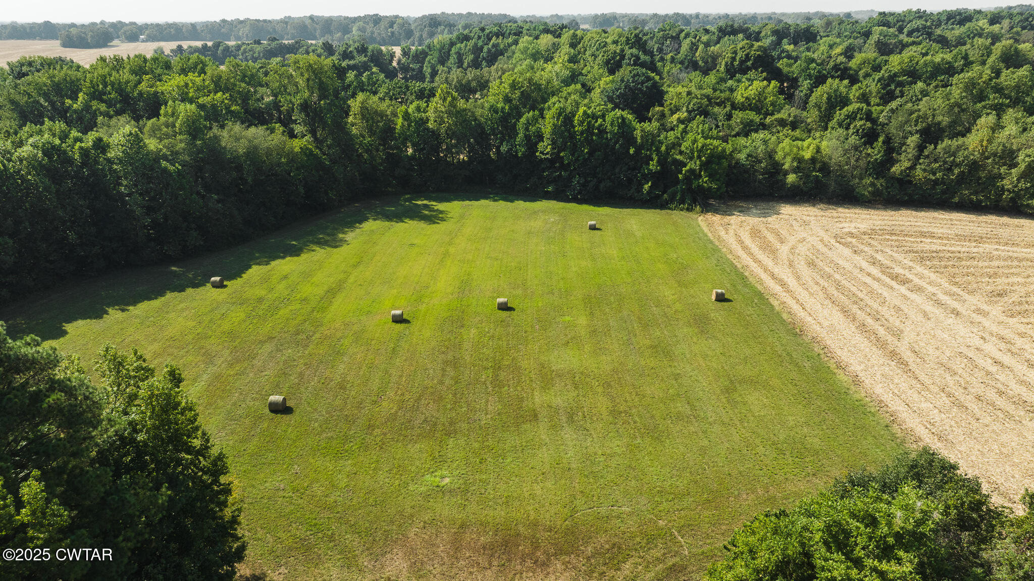 380 State Line Road South Fulton, TN 38257 - Photo 19 of 20 DJI_20250911102451_0025_D