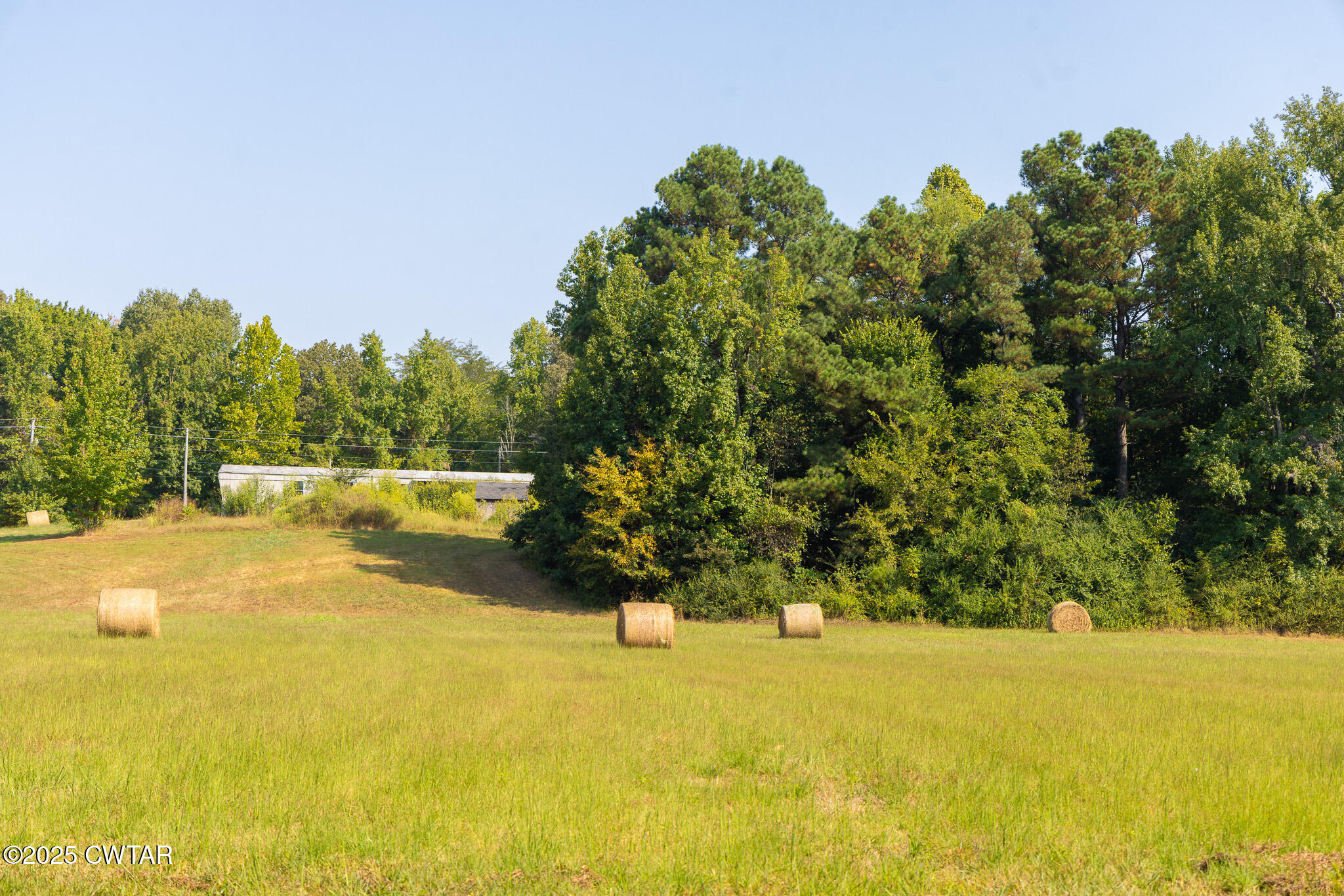 380 State Line Road South Fulton, TN 38257 - Photo 4 of 20 FT8A0562