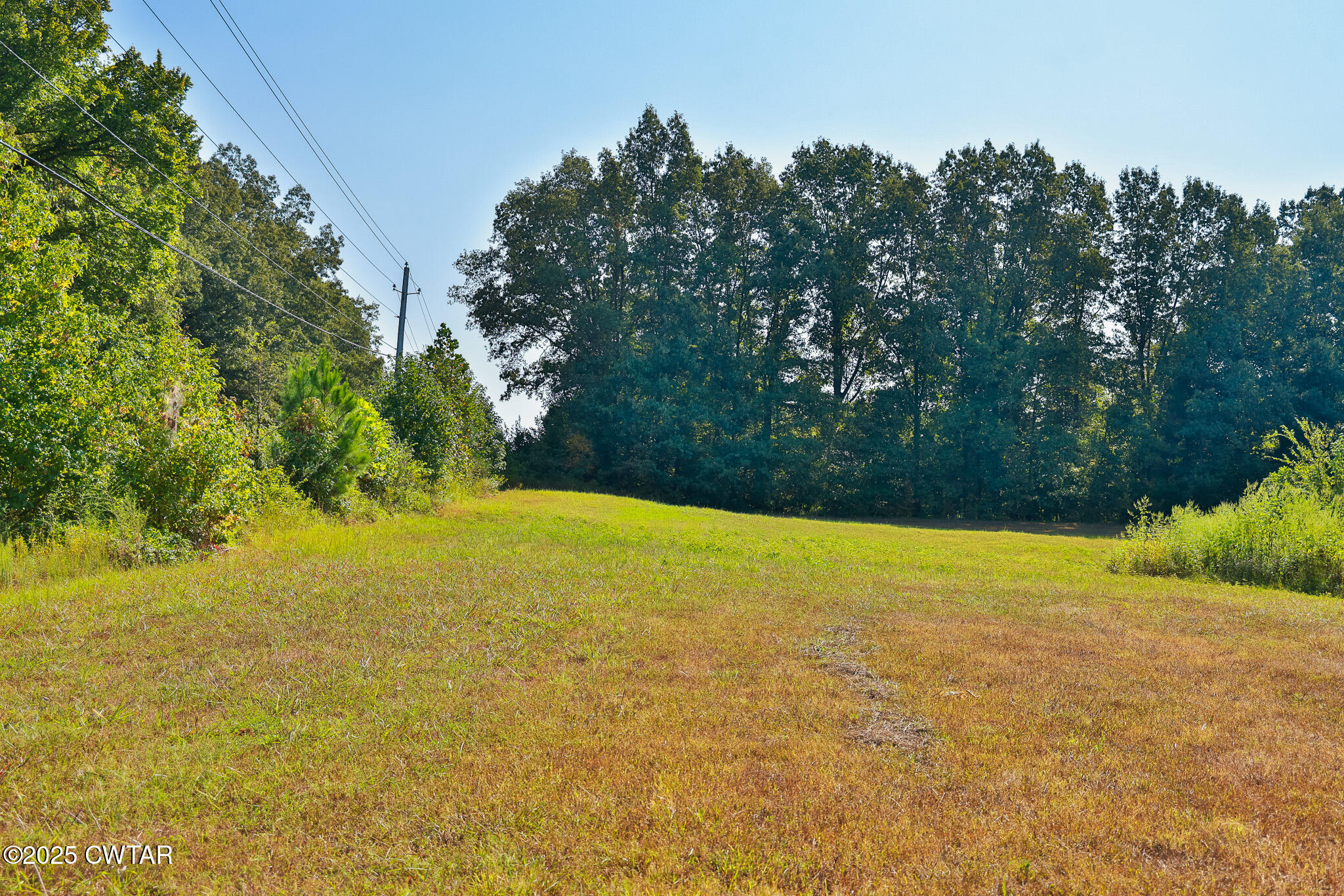 380 State Line Road South Fulton, TN 38257 - Photo 7 of 20 FT8A0546