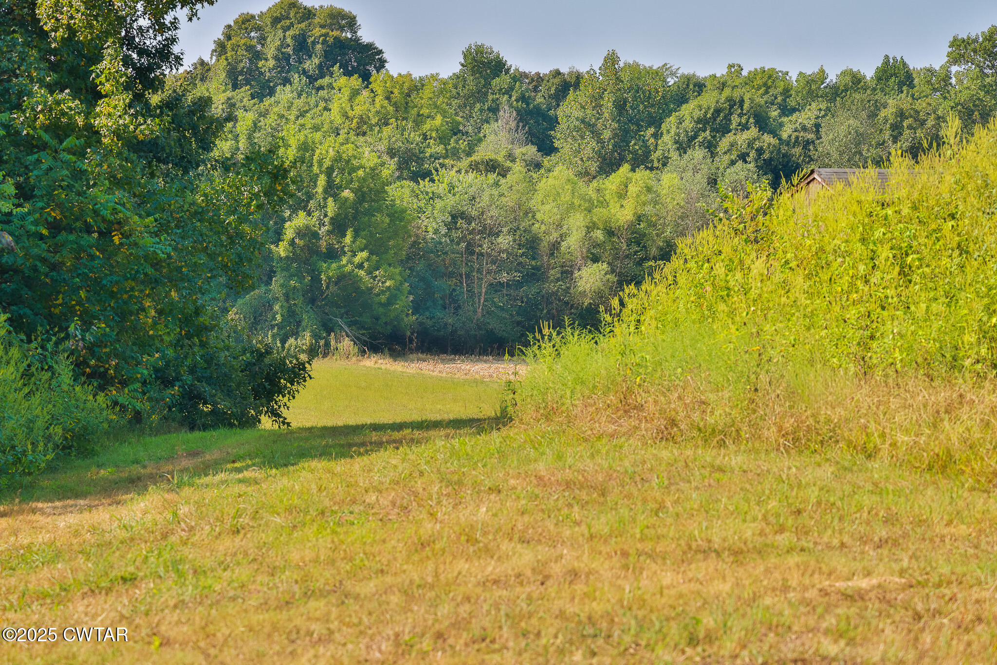380 State Line Road South Fulton, TN 38257 - Photo 9 of 20 FT8A0548