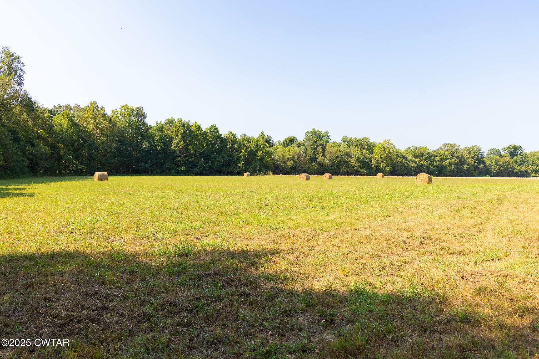 380 State Line Road South Fulton, TN 38257 - Photo 10 of 20 FT8A0550
