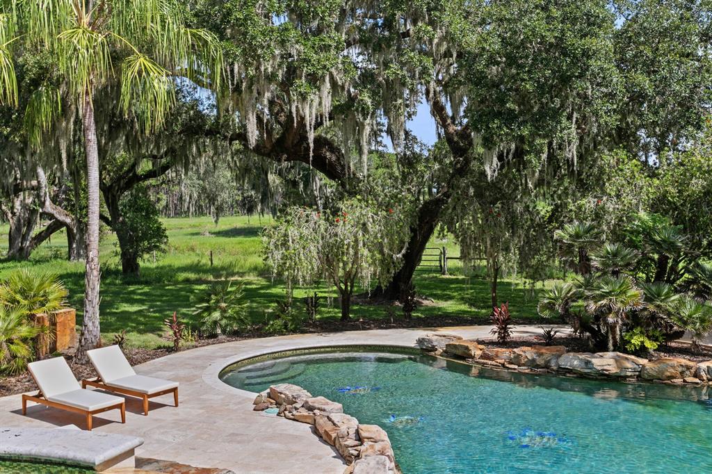 7850 West Four Pines Road Plant City, FL 33565 - Photo 62 of 89 Gallery Image 62