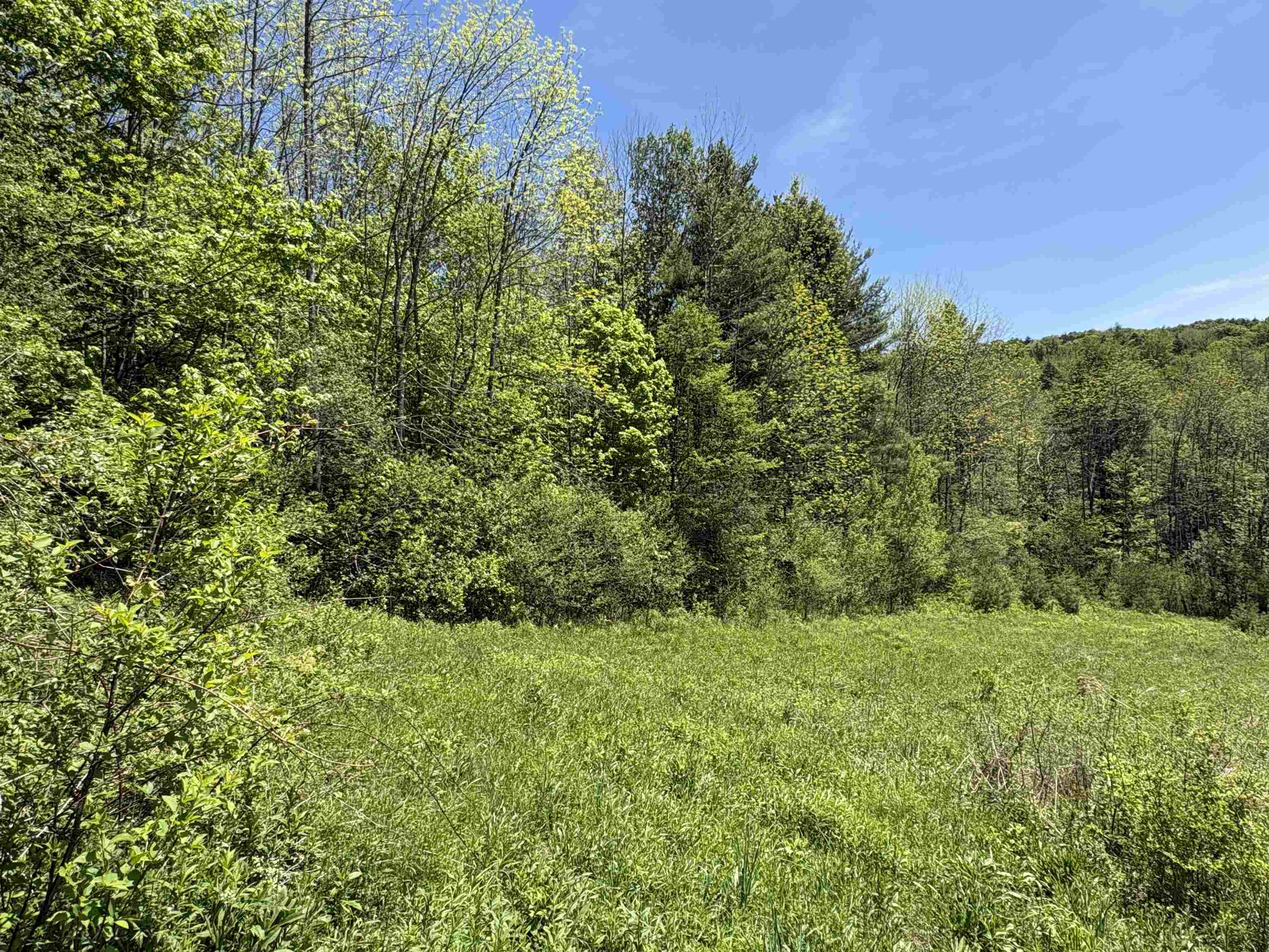 0 Bear Hill Road Randolph, VT 05060 - Photo 2 of 15