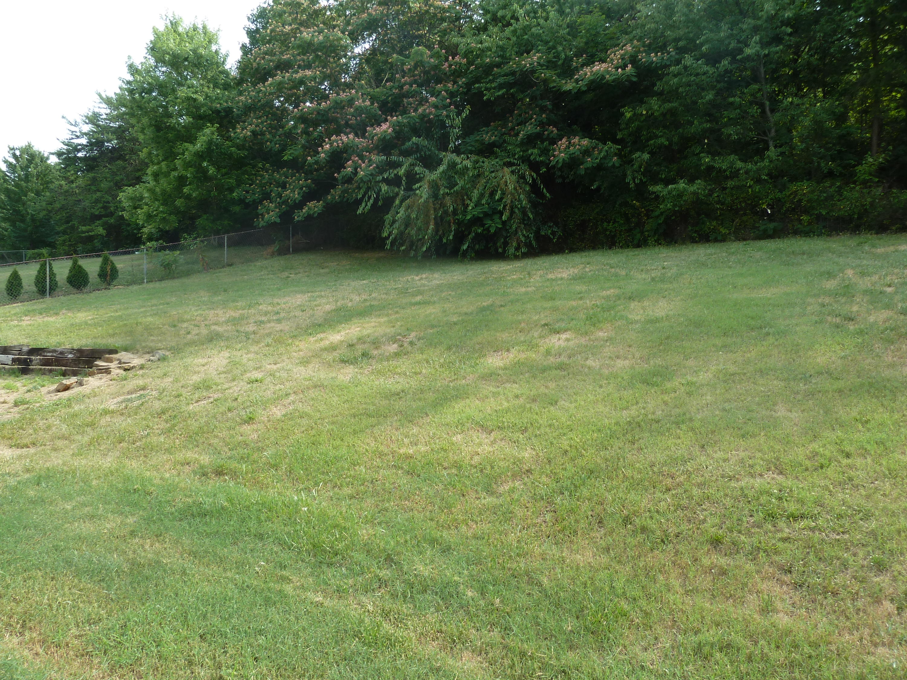 2815 Sood Road Knoxville, TN 37921 - Photo 20 of 20 P1220984