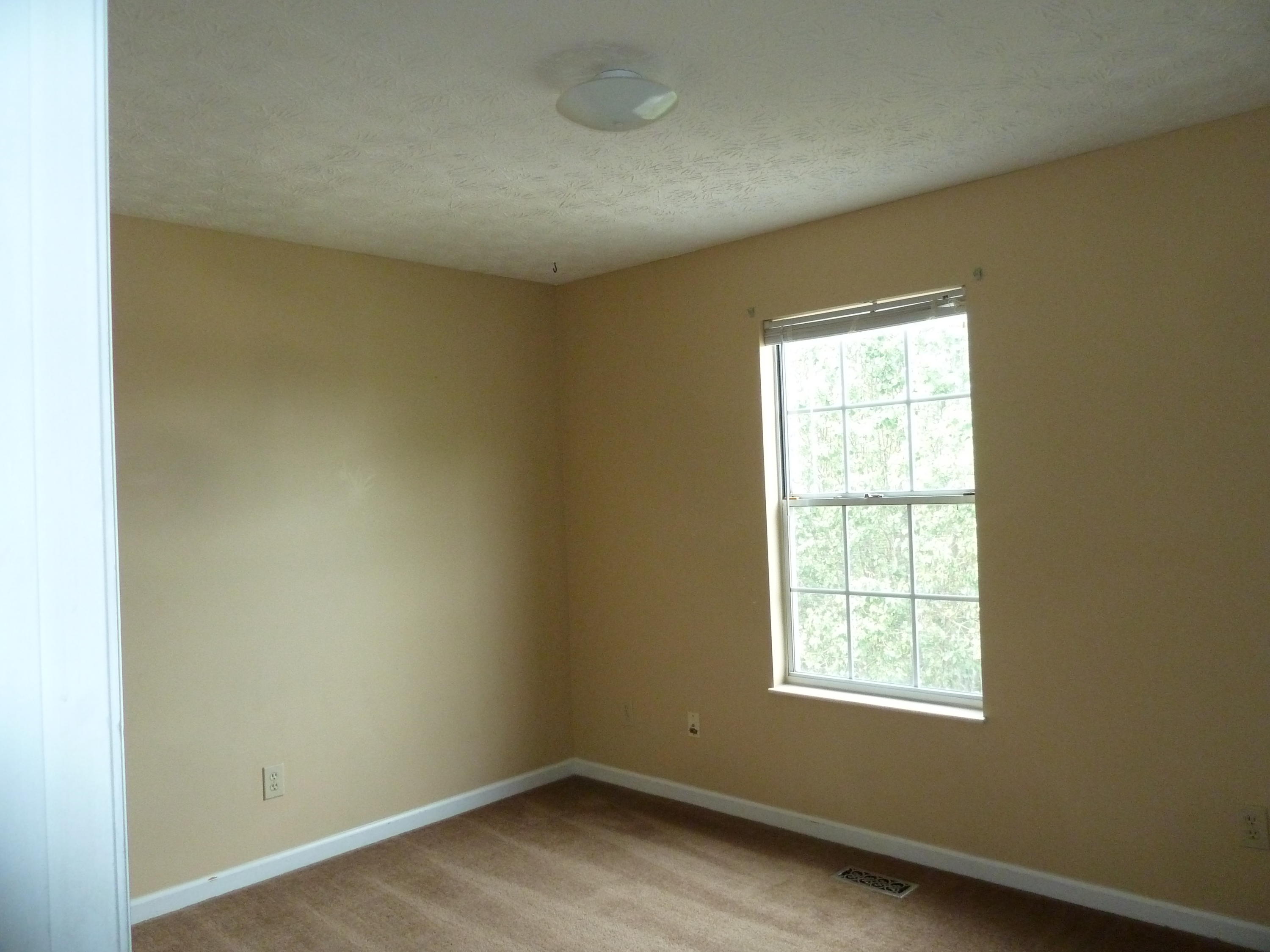 2815 Sood Road Knoxville, TN 37921 - Photo 8 of 20 P1220994