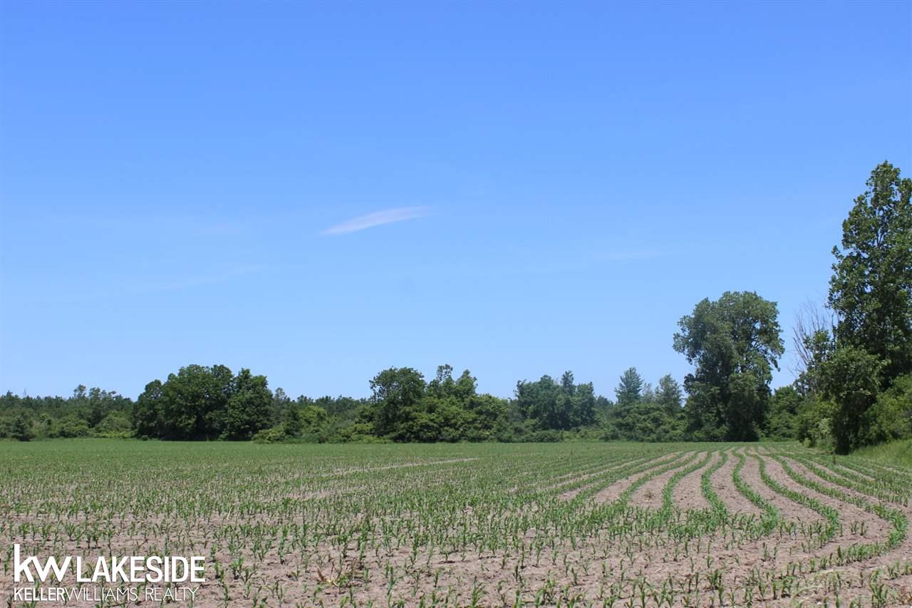 21655 Armada Center Road Armada, MI 48005 - Photo 10 of 31