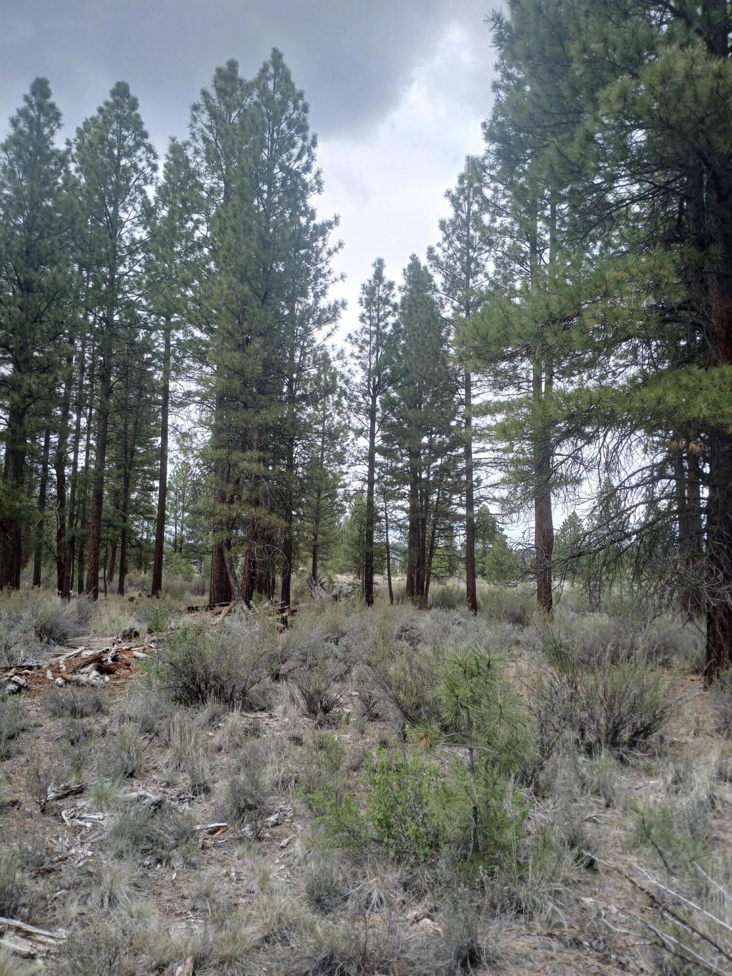 0 Tableland Road Chiloquin, OR 97624 - Photo 7 of 18 20260427_142245