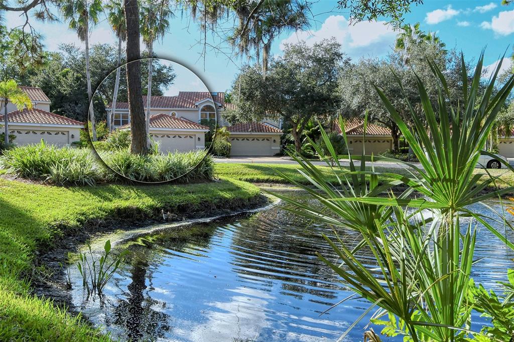 455 Oak Point Road Osprey, FL 34229 - Photo 49 of 64 Gallery Image 49