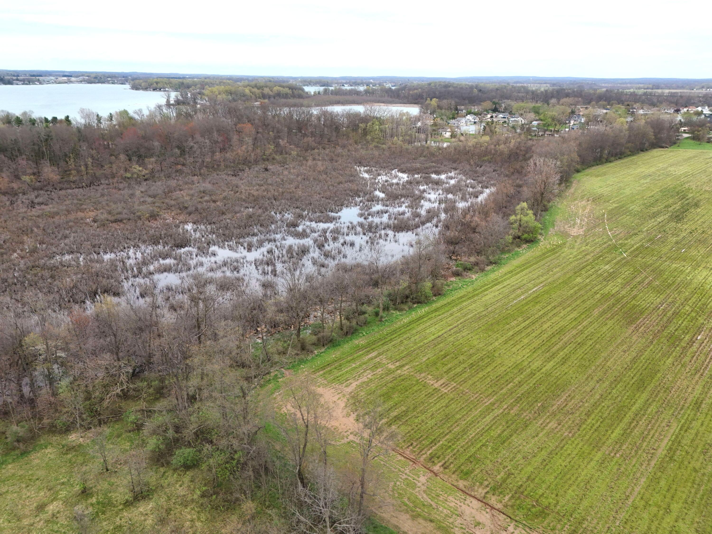 Tulip Tree Lane Cassopolis, MI 49031 - Photo 5 of 7 Diamond lake 3