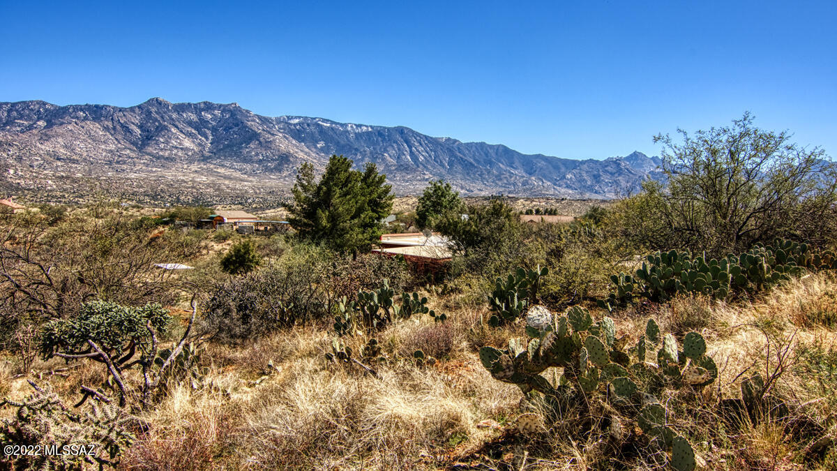 16720 North Swan Road Tucson, AZ 85739 - Photo 3 of 45 Gallery Image 3