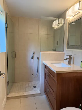a bathroom with a sink a shower and a mirror