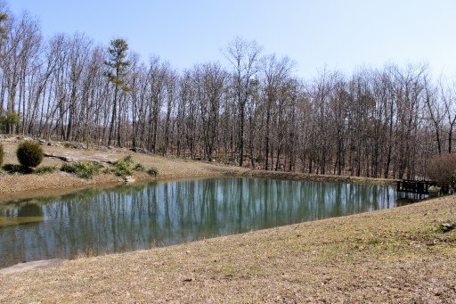 250 Highland Road Grandview, TN 37337 - Photo 19 of 24 Additional Photo