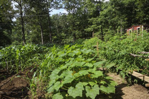 250 Highland Road Grandview, TN 37337 - Photo 22 of 24 Additional Photo