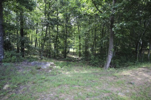 250 Highland Road Grandview, TN 37337 - Photo 24 of 24 Additional Photo