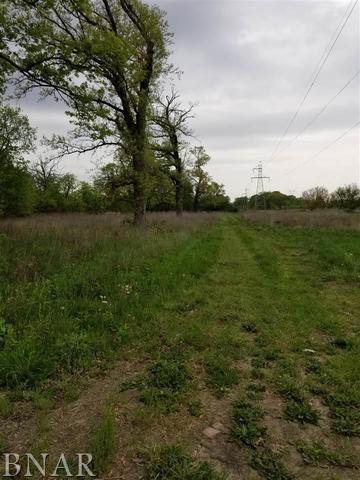 a view of yard with grass and trees