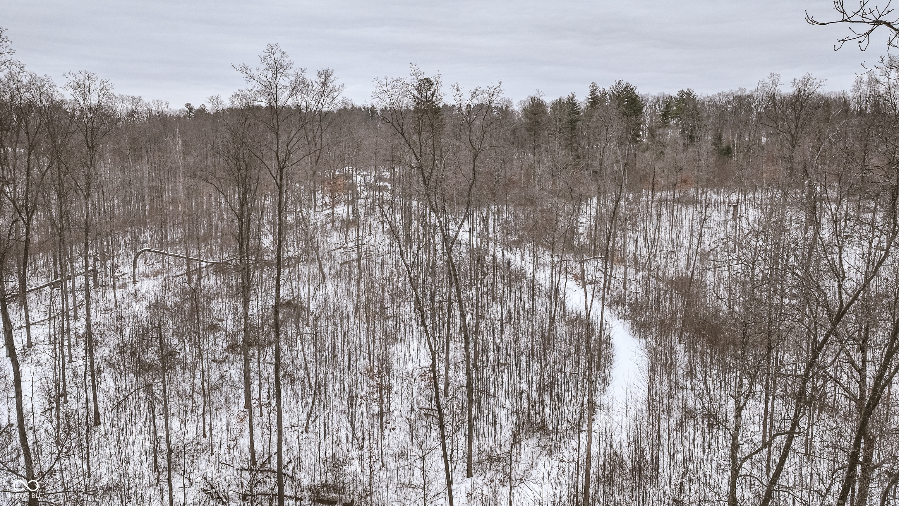 0 Wright Road Bloomfield, IN 47424 - Photo 12 of 24