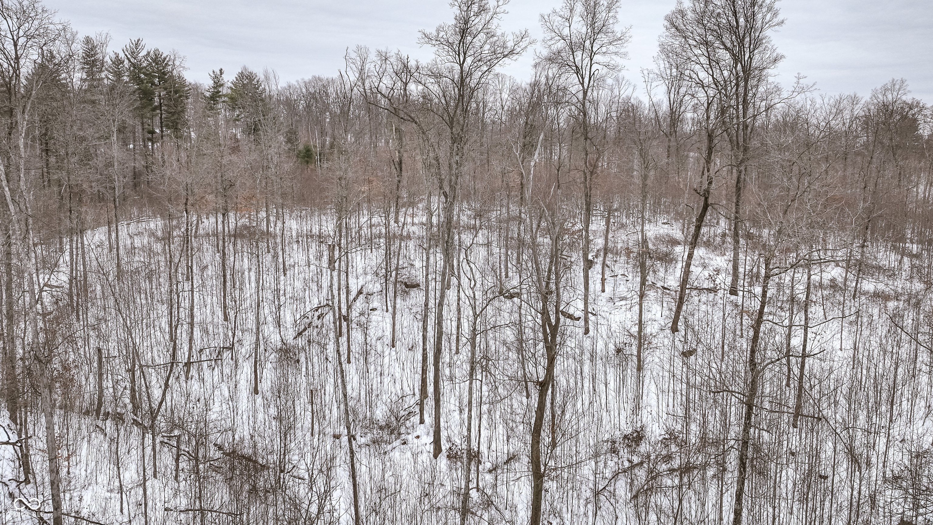 0 Wright Road Bloomfield, IN 47424 - Photo 13 of 24
