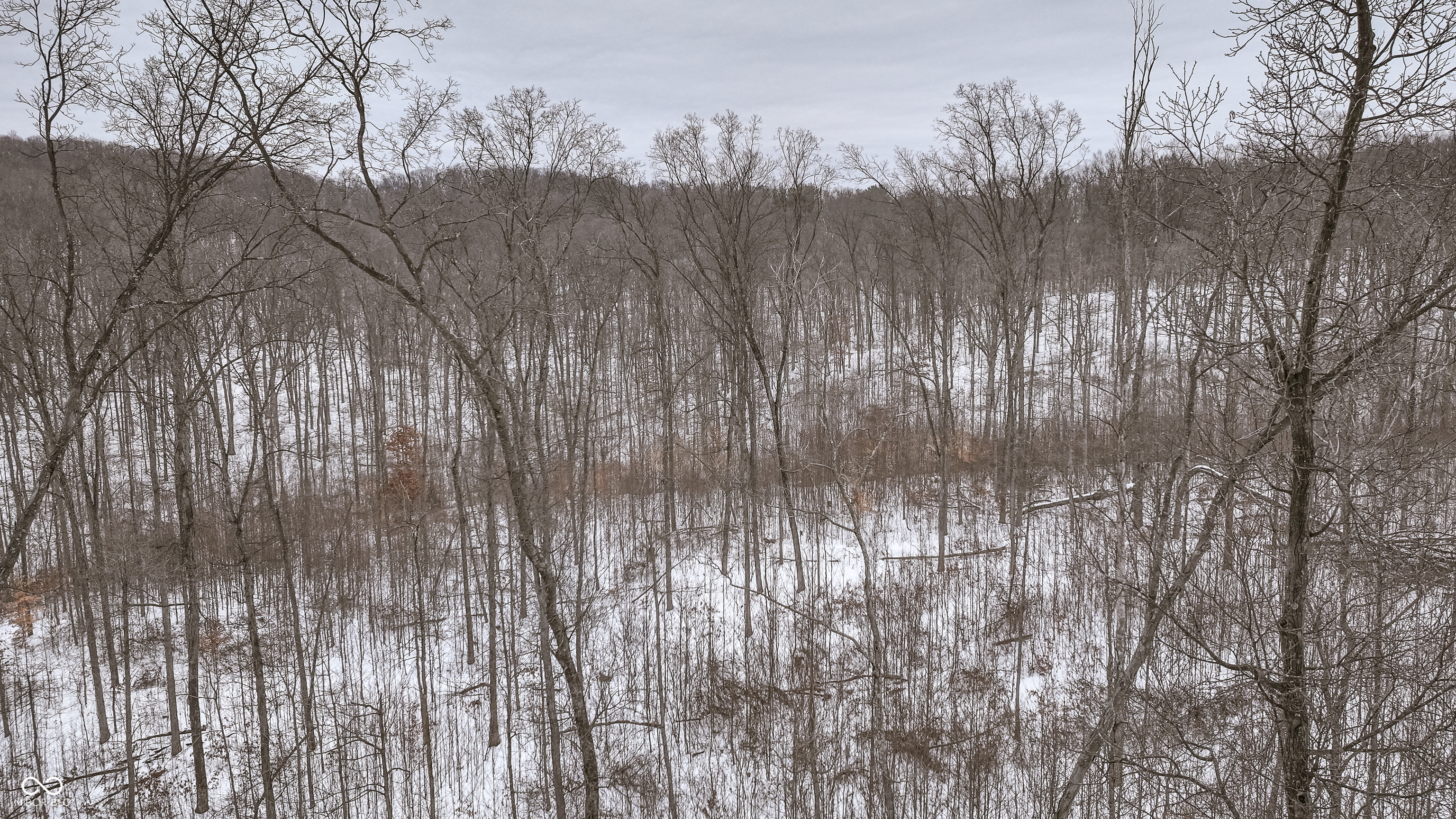 0 Wright Road Bloomfield, IN 47424 - Photo 14 of 24