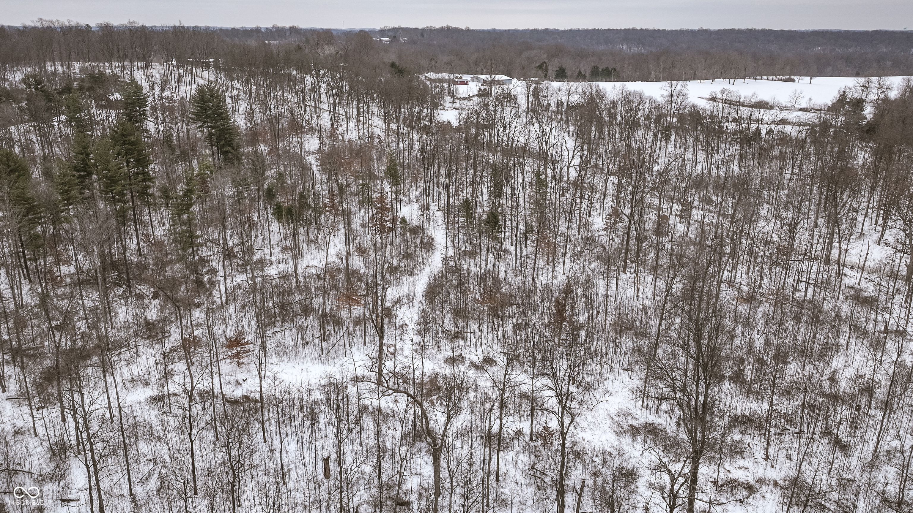 0 Wright Road Bloomfield, IN 47424 - Photo 15 of 24