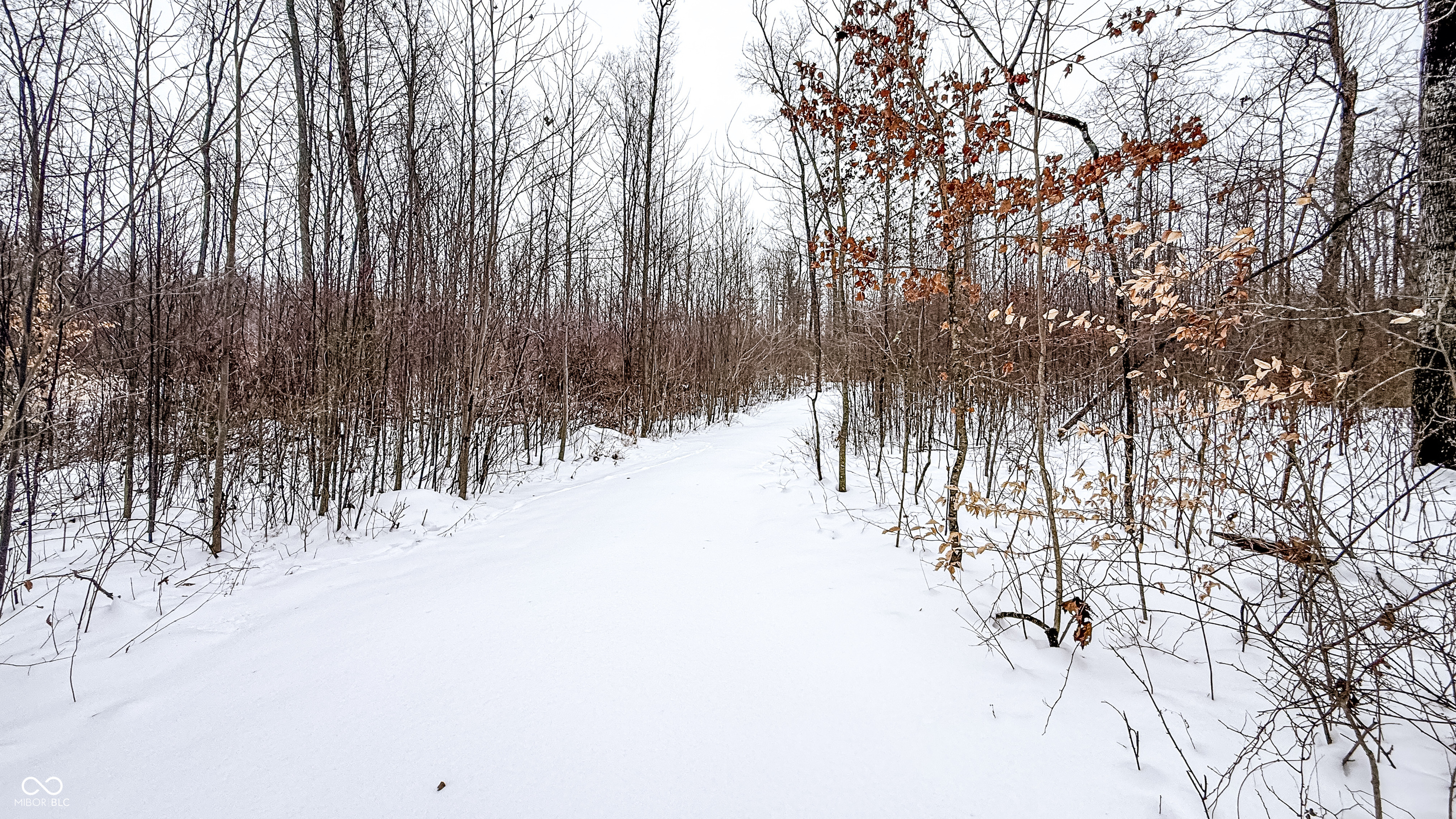 0 Wright Road Bloomfield, IN 47424 - Photo 2 of 24