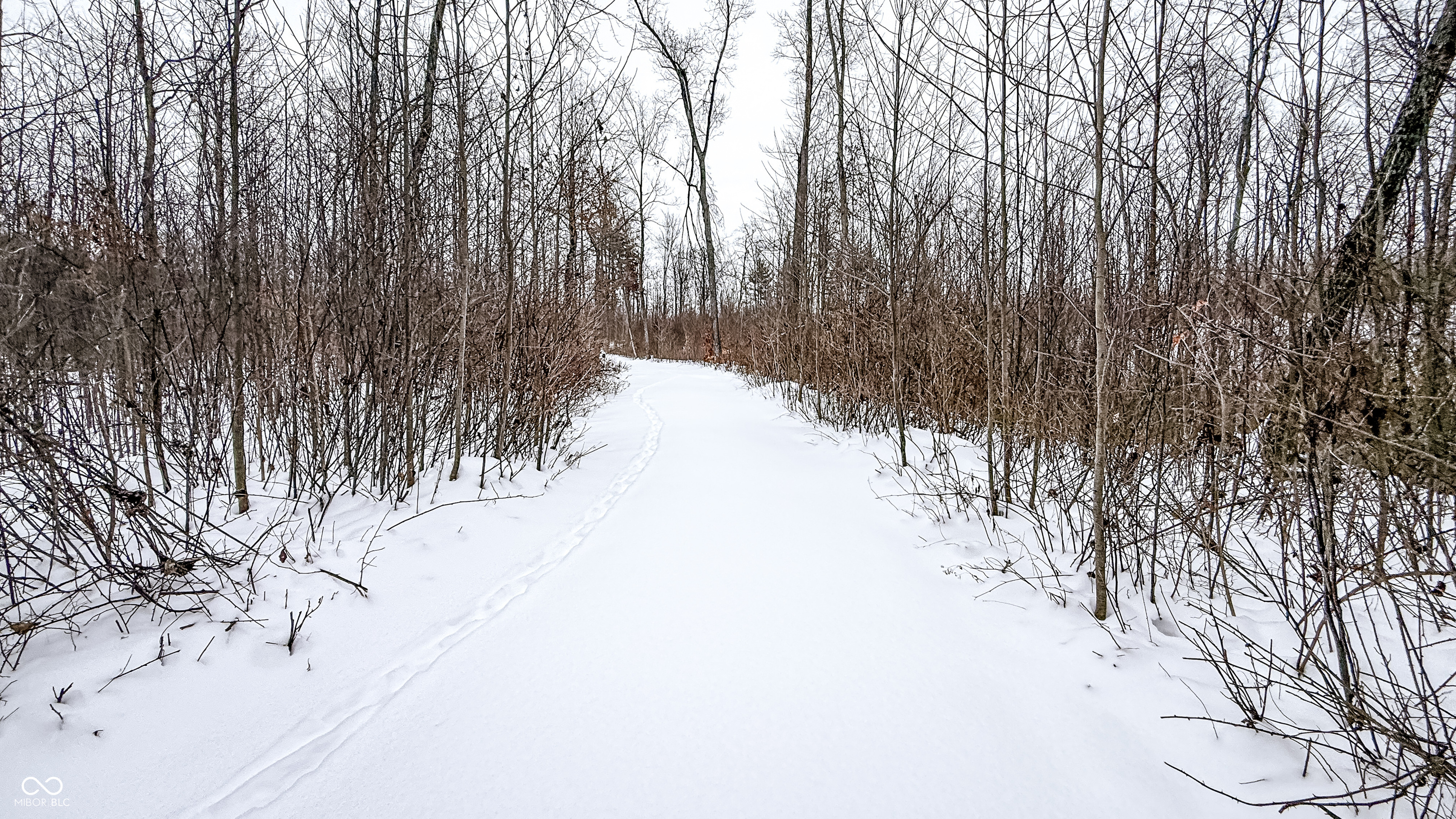 0 Wright Road Bloomfield, IN 47424 - Photo 3 of 24