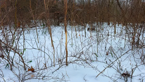 $199,900 | 0 Wright Road, Bloomfield, IN 47424