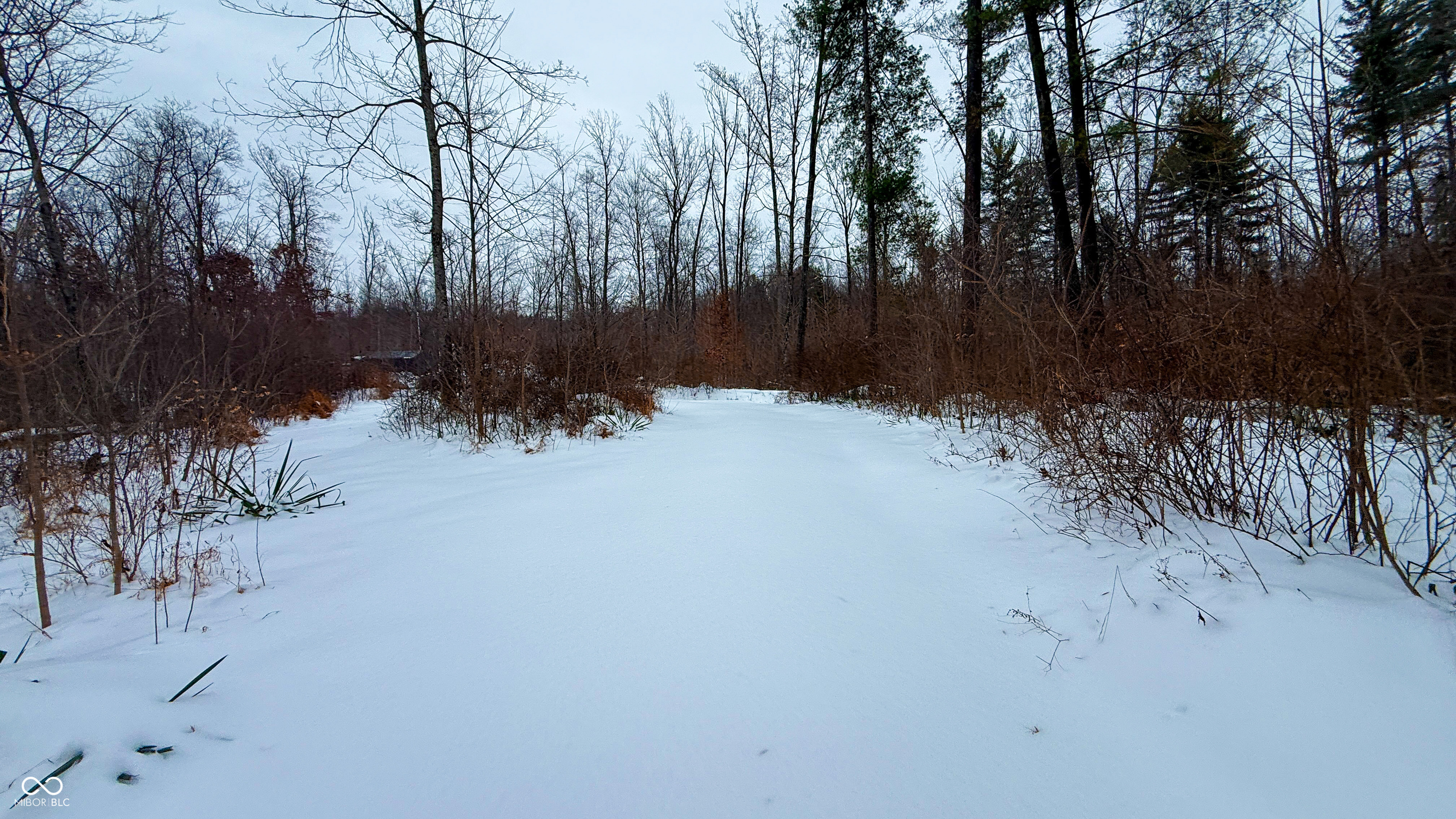 0 Wright Road Bloomfield, IN 47424 - Photo 5 of 24