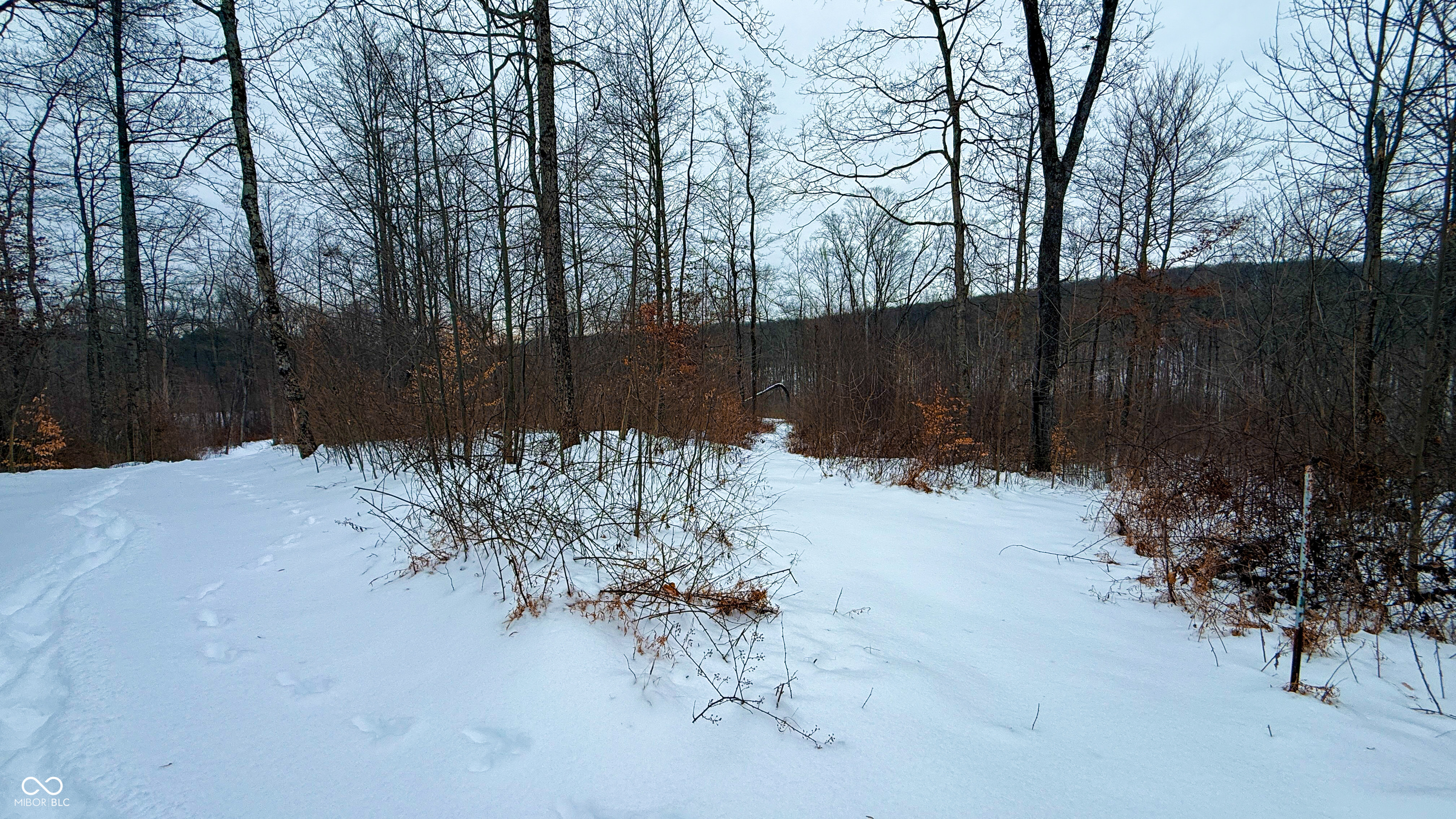 0 Wright Road Bloomfield, IN 47424 - Photo 8 of 24