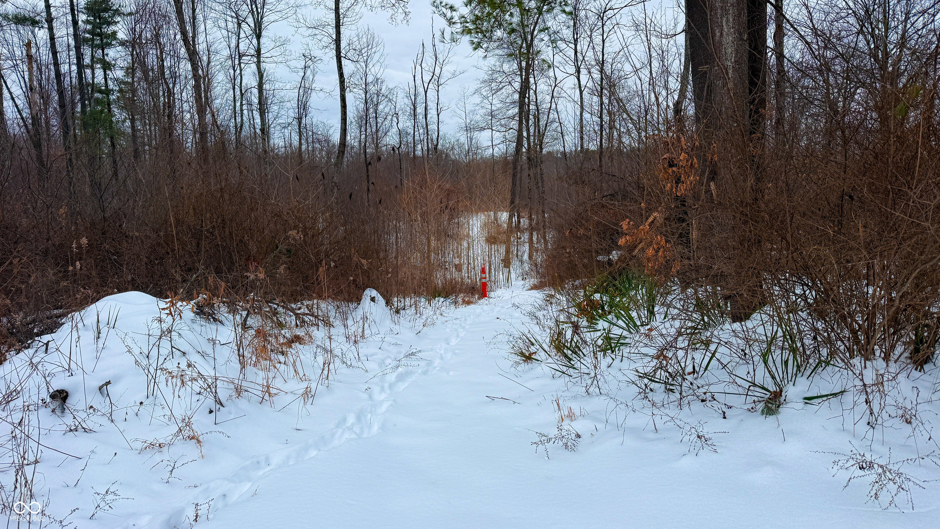 0 Wright Road Bloomfield, IN 47424 - Photo 9 of 24