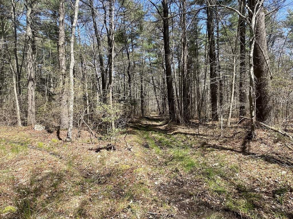 277-287 New Boston Road Fairhaven, MA 02719 - Photo 4 of 23 Gallery Image 4