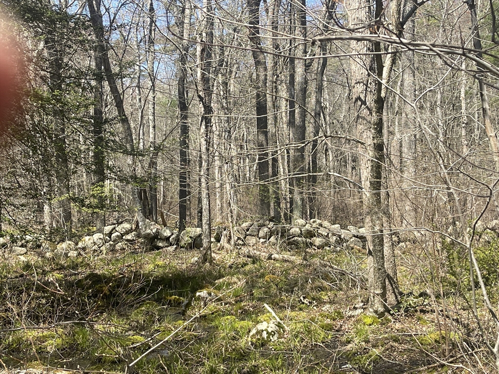 277-287 New Boston Road Fairhaven, MA 02719 - Photo 9 of 23 Gallery Image 9