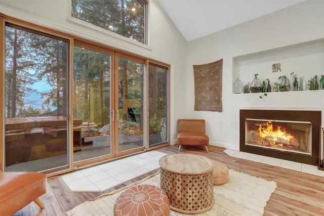 a view of a garden with plants