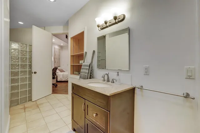 a view of a forest with trees in the background