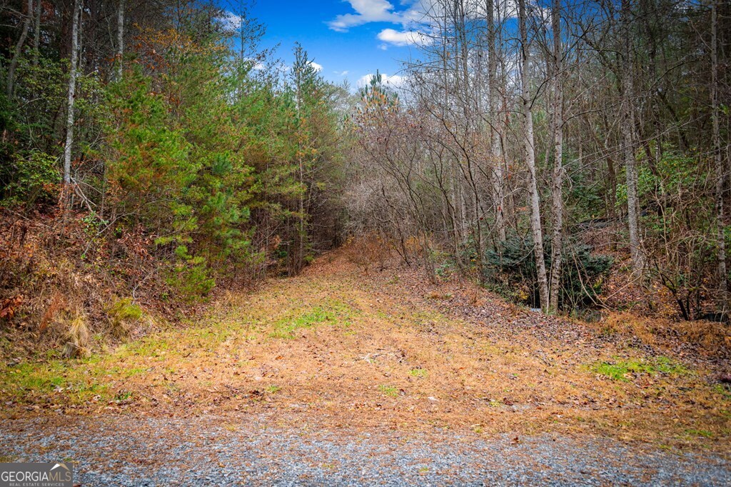 5.97-ac Bullen Gap Road Blue Ridge, GA 30513 - Photo 7 of 11
