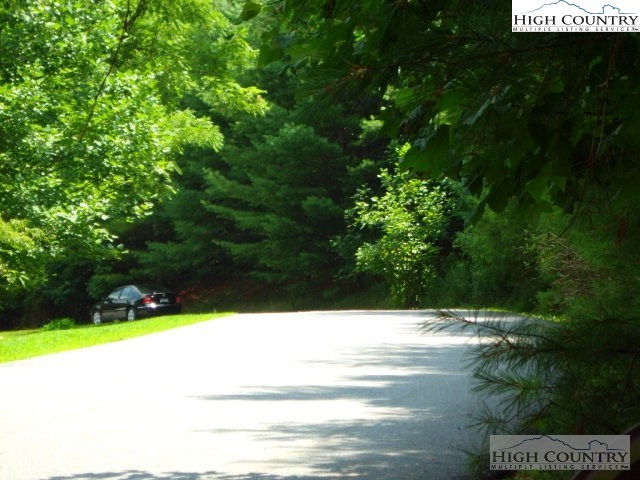 2 Old Farm Road Banner Elk, NC 28604 - Photo 13 of 23 a view of yard with green space