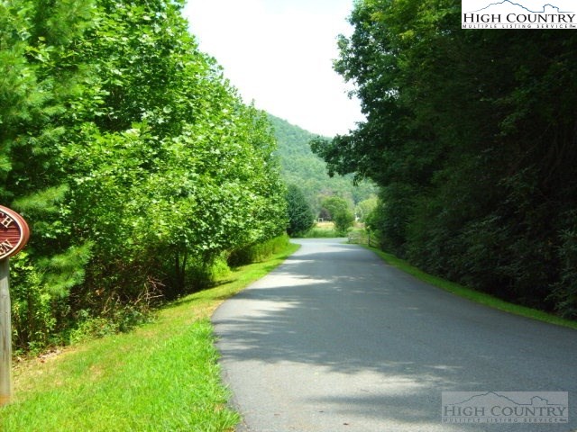 2 Old Farm Road Banner Elk, NC 28604 - Photo 17 of 23 a view of a yard with plants and a trees