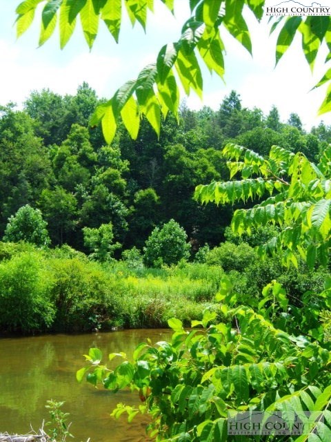 2 Old Farm Road Banner Elk, NC 28604 - Photo 5 of 23 a view of a garden