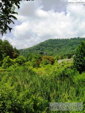 2 Old Farm Road Banner Elk, NC 28604 - Photo 7 of 23 a view of a big yard with lots of green space