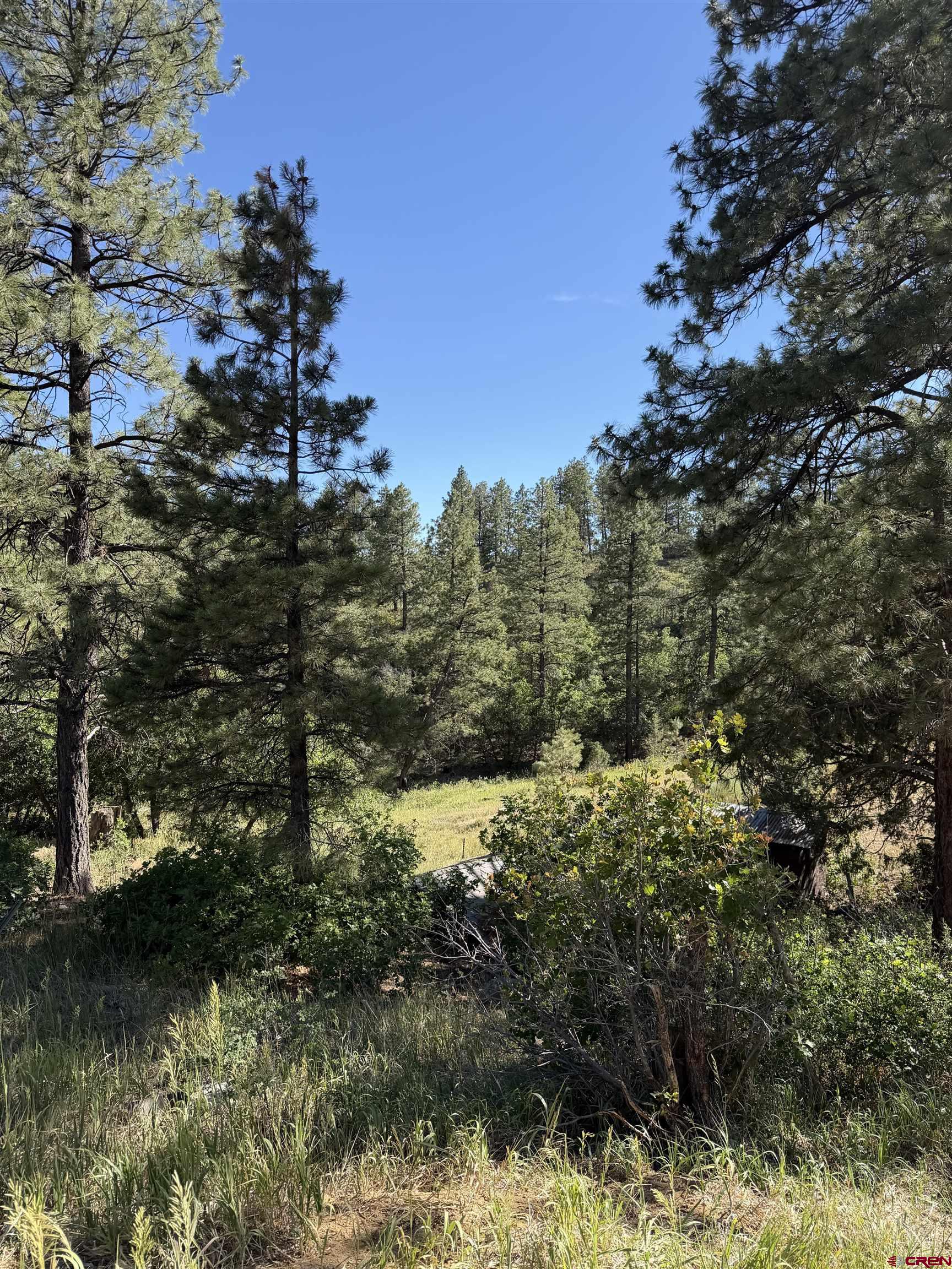 950 Deer Trail Road Durango, CO 81303 - Photo 10 of 13 a view of a lake with houses