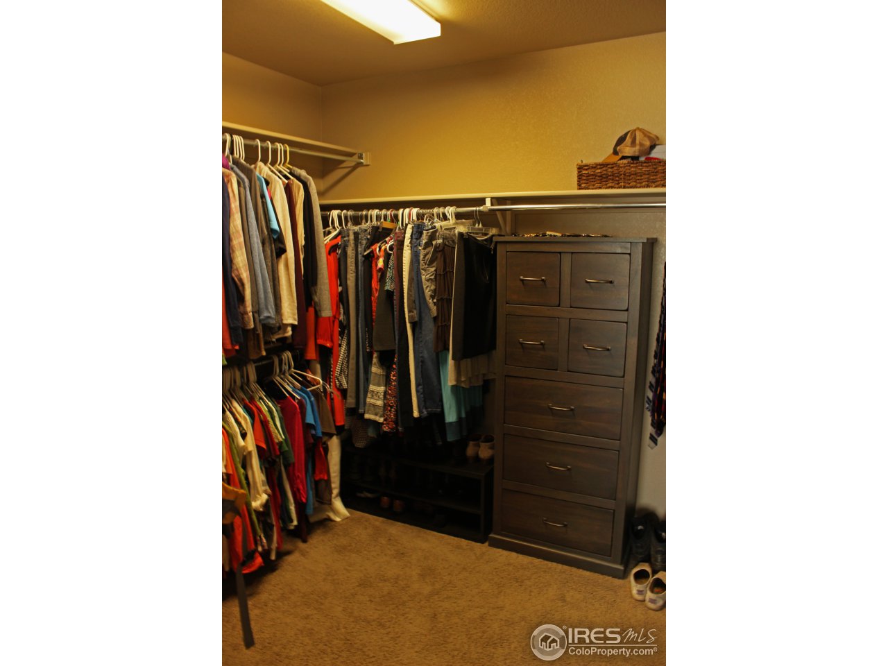 3362 Wagon Trail Road Fort Collins, CO 80524 - Photo 11 of 17 Gallery Image 11