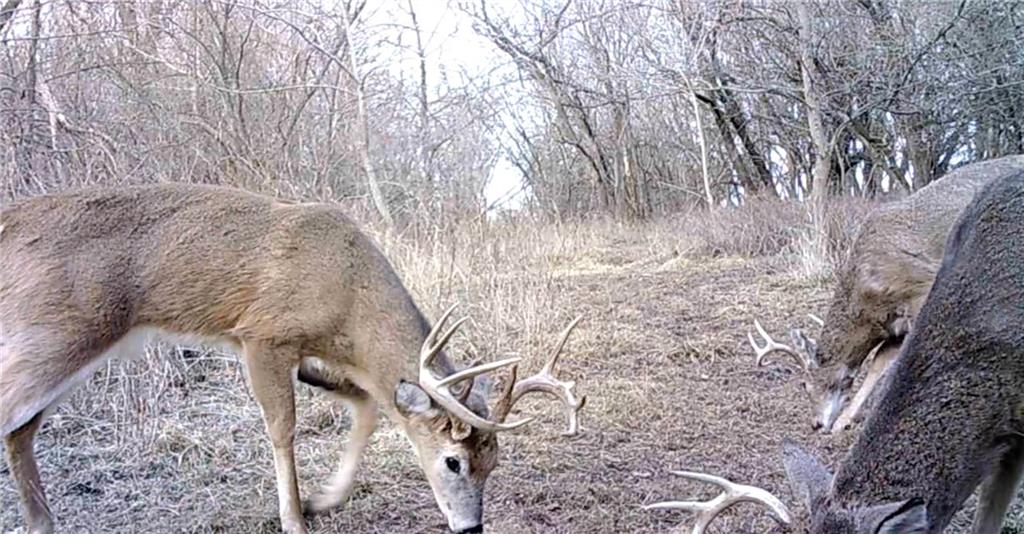 0 Hatchell Road Tonganoxie, KS 66086 - Photo 11 of 32