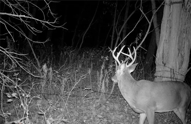 $249,950 | 0 Hatchell Road, Tonganoxie, KS 66086