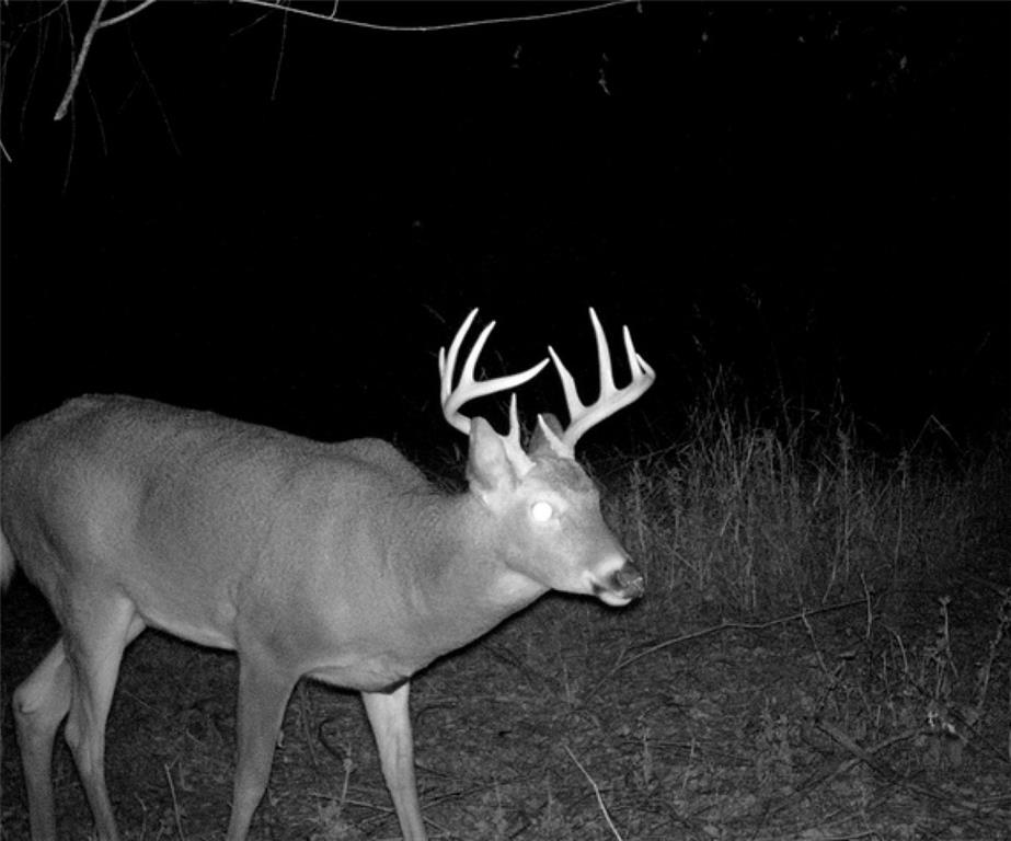 0 Hatchell Road Tonganoxie, KS 66086 - Photo 13 of 32