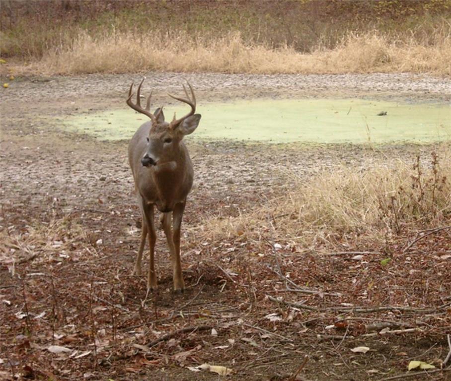 0 Hatchell Road Tonganoxie, KS 66086 - Photo 14 of 32