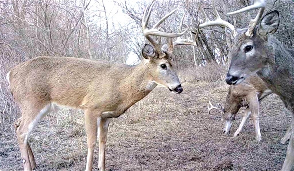 0 Hatchell Road Tonganoxie, KS 66086 - Photo 15 of 32