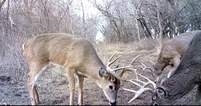 $249,950 | 0 Hatchell Road, Tonganoxie, KS 66086